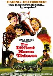 Escape From the Dark (The Littlest Horse Thieves)