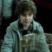 James Sirius Potter