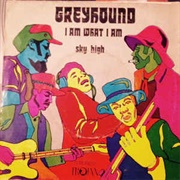 I Am What I Am .. Greyhound