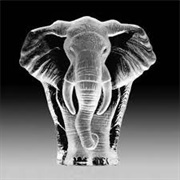 Crystal Elephant
