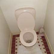 Unflushed/Messy Toilets