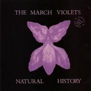 The March Violets - Natural History