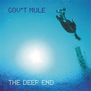 Gov't Mule - The Deep End, Vol 1