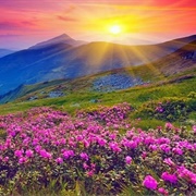 Valley of Flowers, Uttarakhand, India