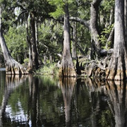 Everglades National Park, USA