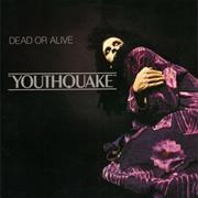 Dead or Alive - Youthquake