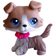 Littlest Pet Shop #67