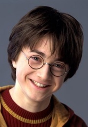 Harry Potter Series--Harry Potter (Whistle Blower Hero)