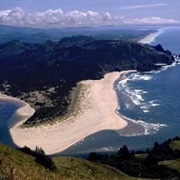 Cascade Head Preserve
