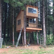 Having a Treehouse as a Kid