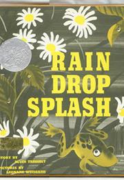Rain Drop Splash