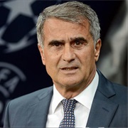 Şenol Güneş