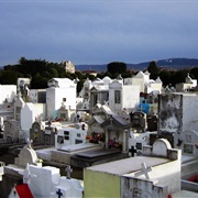Punta Arenas Cemetery Punta Arenas, (Chile)