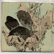 Christina Carter - Of the Gutter