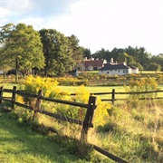 Knox Farm State Park, New York