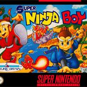 Super Ninja Boy