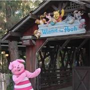 Many Adventures of Winnie the Pooh (2003-Present)