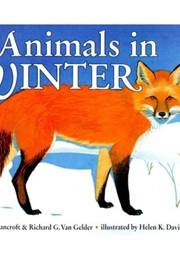 Animals in Winter (Henrietta Bancroft)