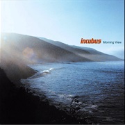 Wish You Were Here - Incubus