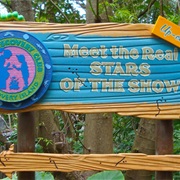 Kids Discovery Clubs