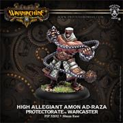 High Allegiant Amon Ad-Raza