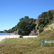 Awana Beach - Great Barrier