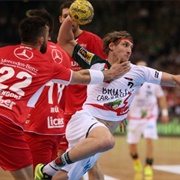 Any Pro Top-Level Handball Leagues