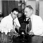 Streptomycin Discovered (1943)