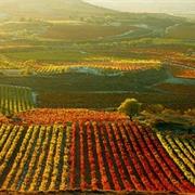 Rioja, Spain