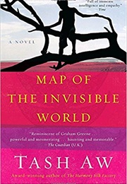 Map of the Invisible World (Tash Aw)