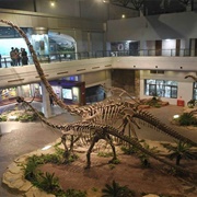 Zigong Dinosaur Museum