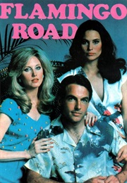 FLAMINGO ROAD - "The Hostages:  Part 2" - TV Episode 1/6/81 (1981)