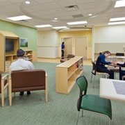 Have Been Admitted to a Psychiatric Ward or Hospital