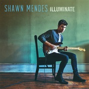 22. Iluminate - Shawn Mendes
