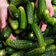 Spreewald Gherkins