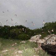 Kickapoo Cavern State Park, Texas
