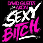 Sexy Bitch by David Guetta Feat. Akon