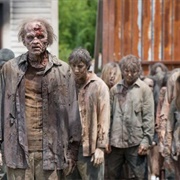 Surviving the Zombie Apocalypse (Michigan State)