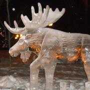 Plymouth Ice Festival, Plymouth