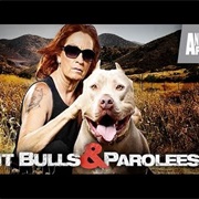 Pit Bulls & Parolees