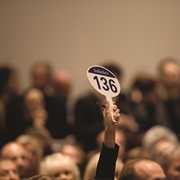 Go to an Auction & Place a Bid