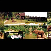 Mwaluganje Elephant Sanctuary, Kenya