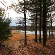 Massasoit State Park, Massachusetts