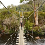 Walk a Suspension Bridge