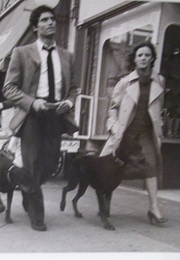 Nick and the Dobermans (1980)