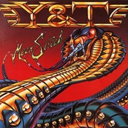 Y& T- Mean Streak