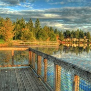 Martha Lake, Washington