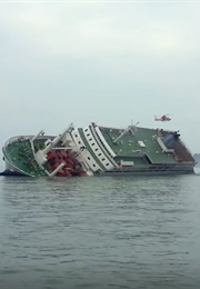 In the Absence (2019)