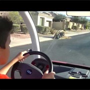Drive a Golf Cart