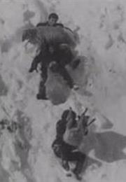 The Seasons (Artavazd Peleshian)